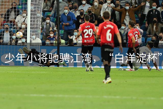 少年小将驰骋江湾，“白洋淀杯” 国际少年足球赛架起中外交流桥梁